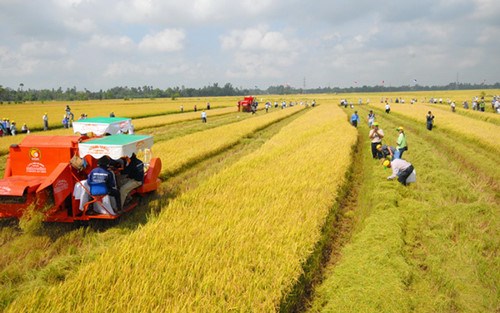 Tích tụ đất đai, đòi hỏi từ cuộc sống (02/8/2017)
